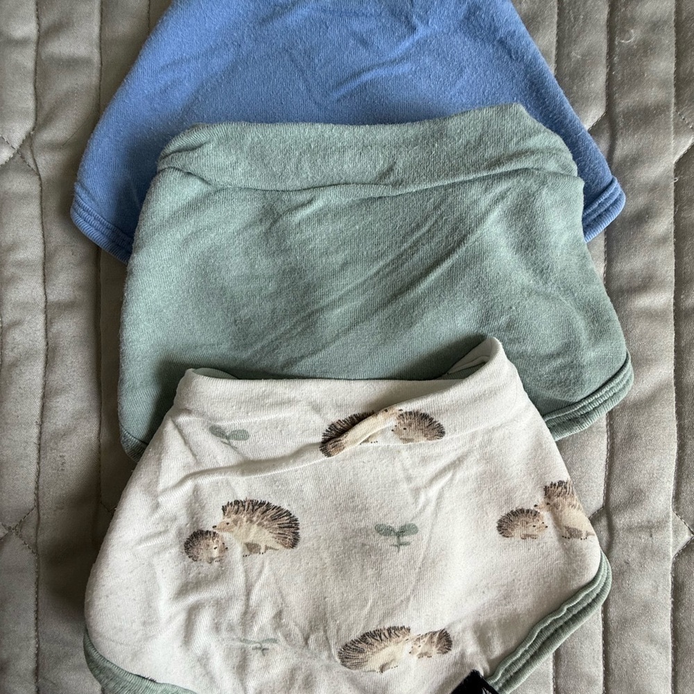 🦔Set of Three Kyte baby bibs-including exclusive print